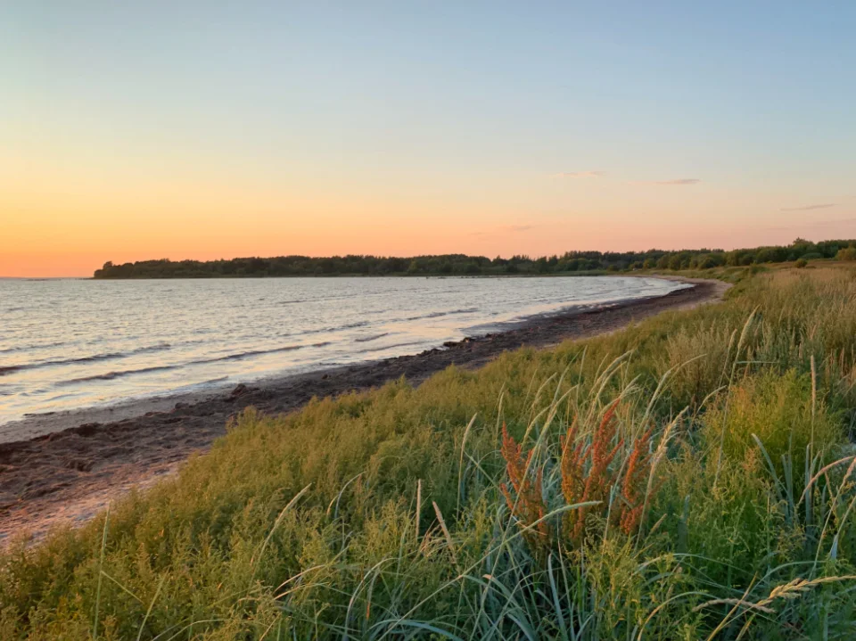Dune et plage au coucher du soleil